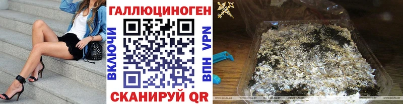 Псилоцибиновые грибы Psilocybine cubensis Ветлуга